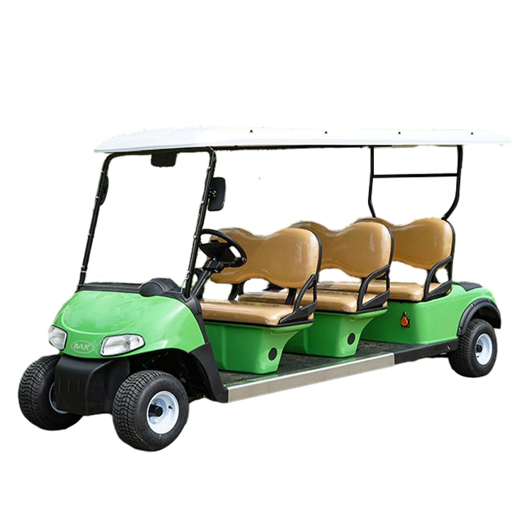 6 Passengers Electric Golf Cart
