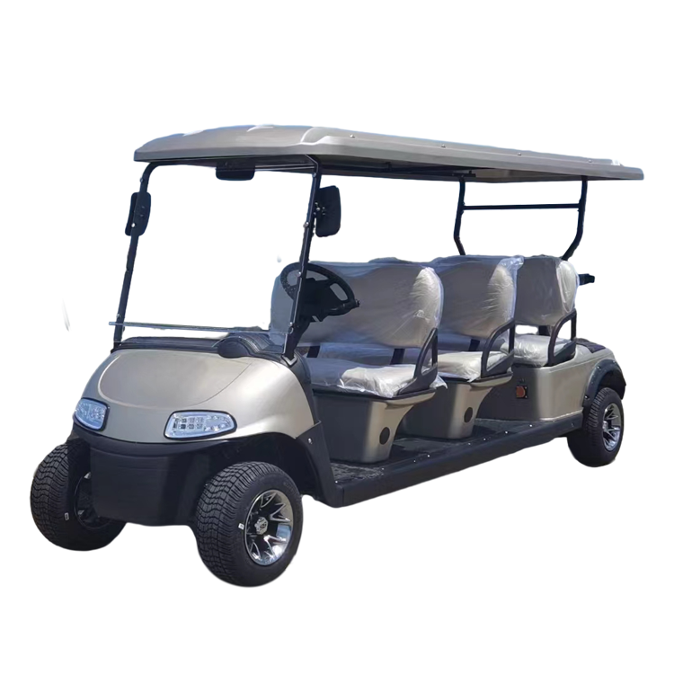 6 Passengers Electric Golf Cart