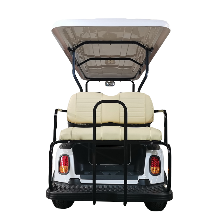 6 Seater Electric Golf Cart