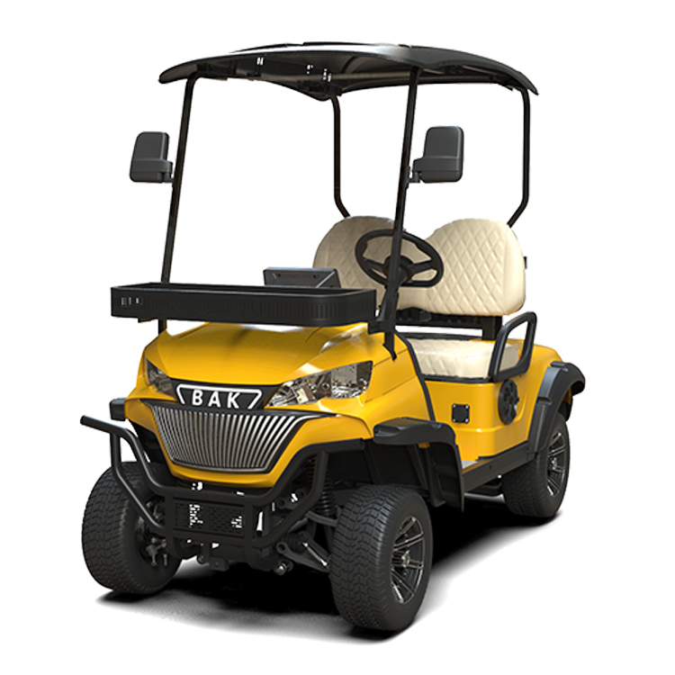 Low Chassis 2 Seater Golf Cart