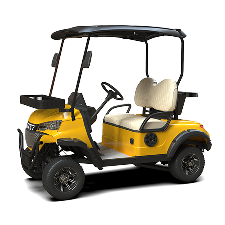 Low Chassis 2 Seater Golf Cart