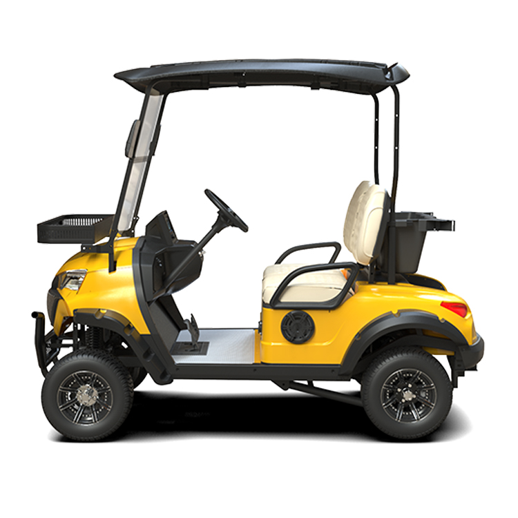 Low Chassis 2 Seater Golf Cart