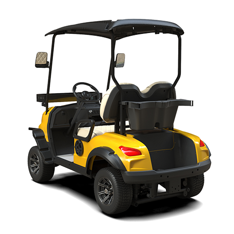 Low Chassis 2 Seater Golf Cart