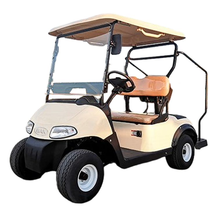 2 Seater Electric Golf Cart