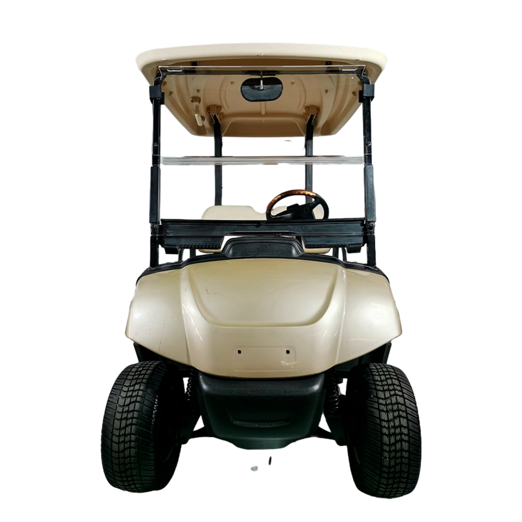 2 Seater Electric Golf Cart