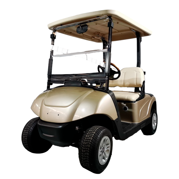 2 Seater Electric Golf Cart