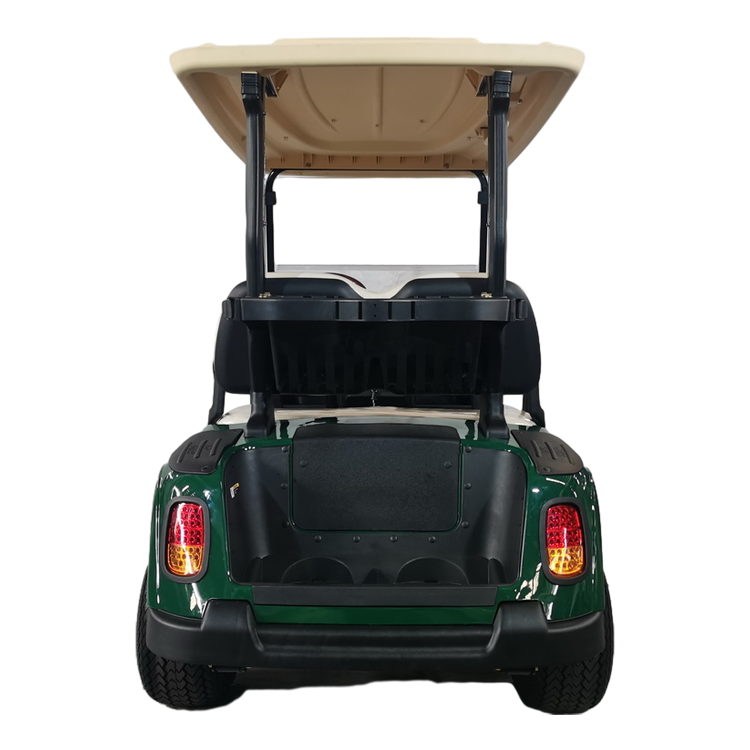 2 Seater Electric Golf Cart