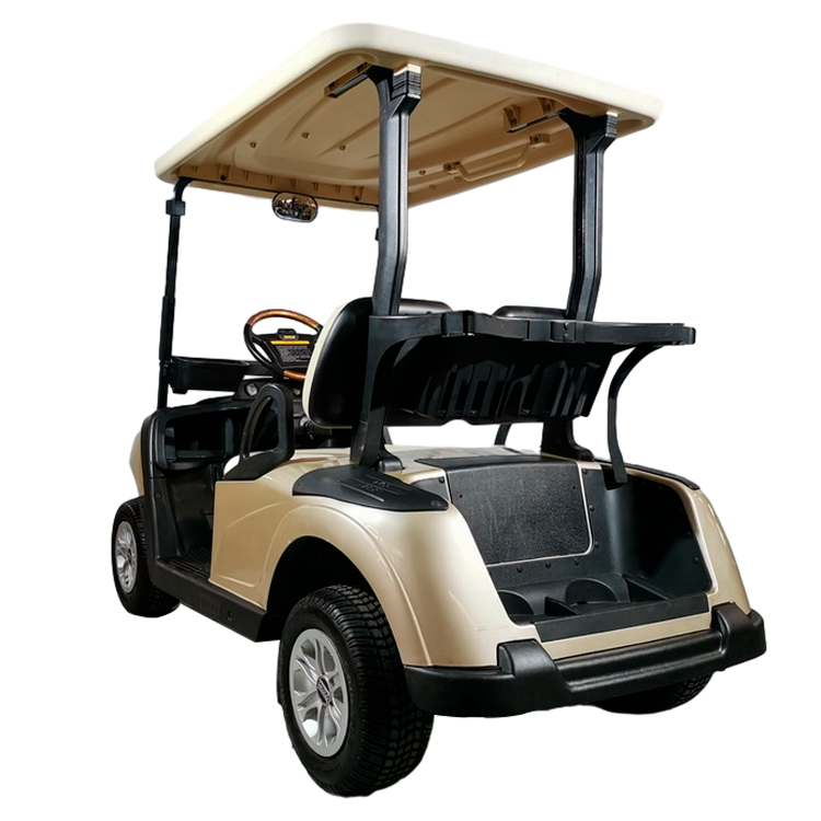 2 Seater Electric Golf Cart