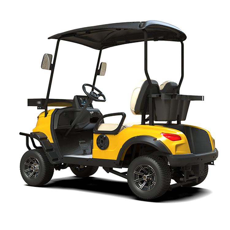 Club Cart 2 Seater