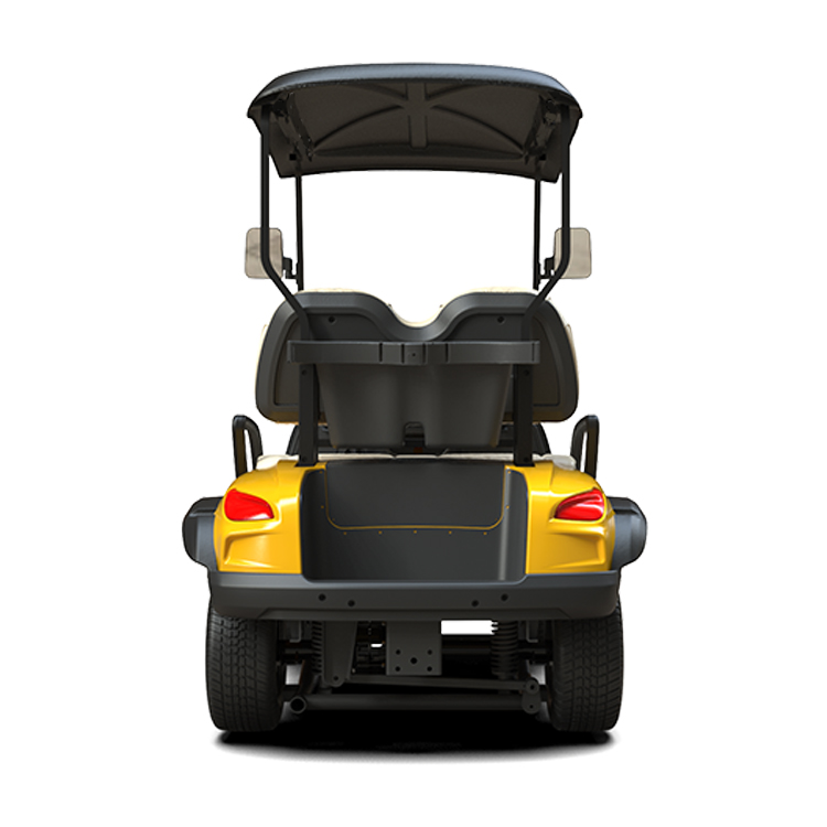 Club Cart 2 Seater