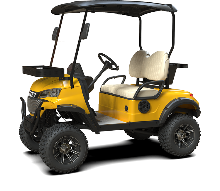 High Chassis 2 Seater Golf Cart